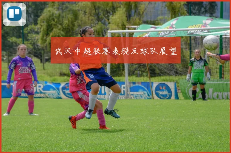 武汉中超联赛表现及球队展望