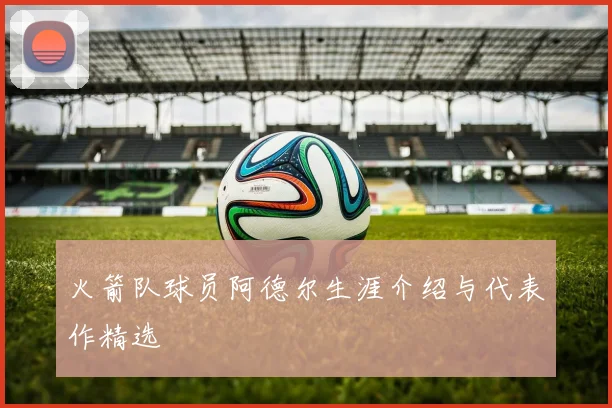 火箭队球员阿德尔生涯介绍与代表作精选