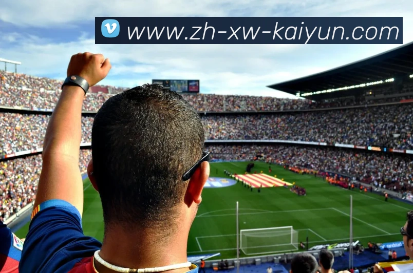 开云app服务体系